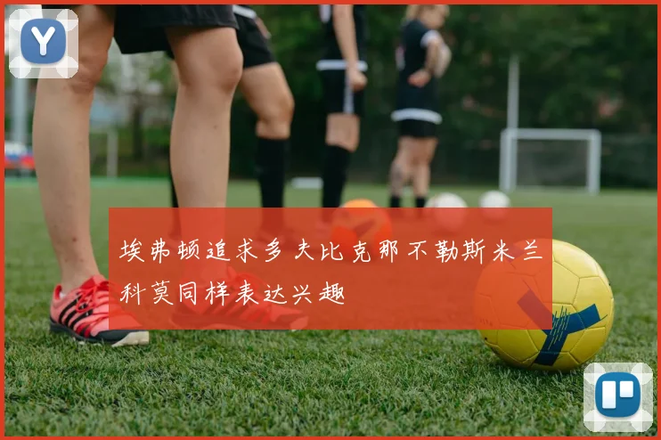 埃弗顿追求多夫比克那不勒斯米兰科莫同样表达兴趣