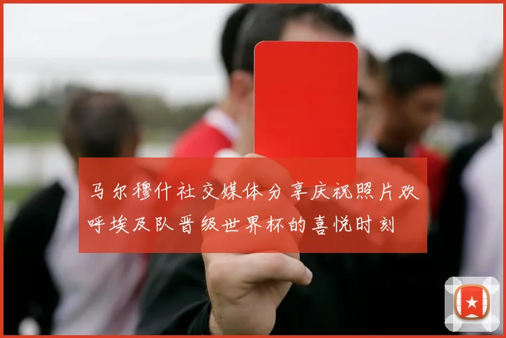马尔穆什社交媒体分享庆祝照片欢呼埃及队晋级世界杯的喜悦时刻